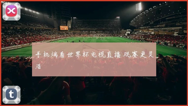 手机端看世界杯电视直播 观赛更灵活