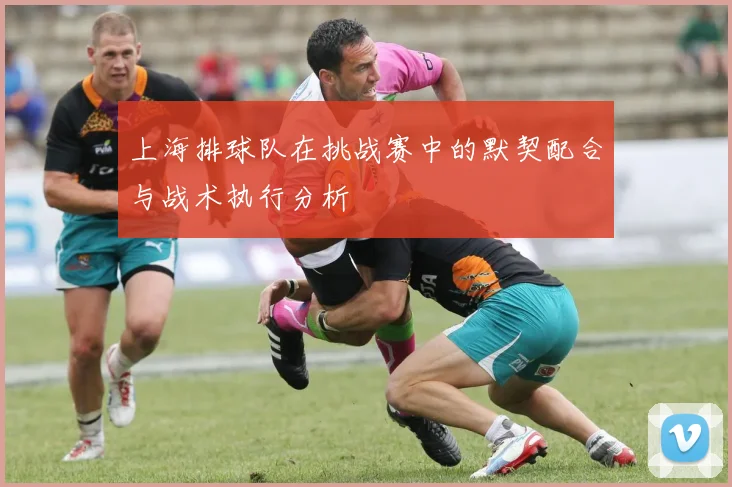 上海排球队在挑战赛中的默契配合与战术执行分析