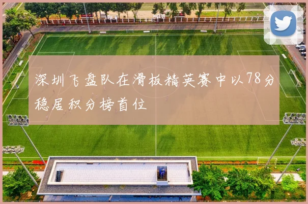 深圳飞盘队在滑板精英赛中以78分稳居积分榜首位