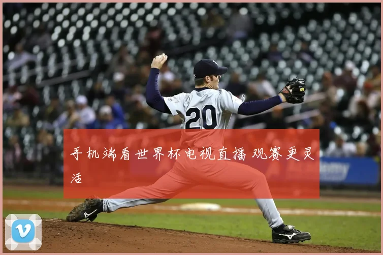 手机端看世界杯电视直播 观赛更灵活